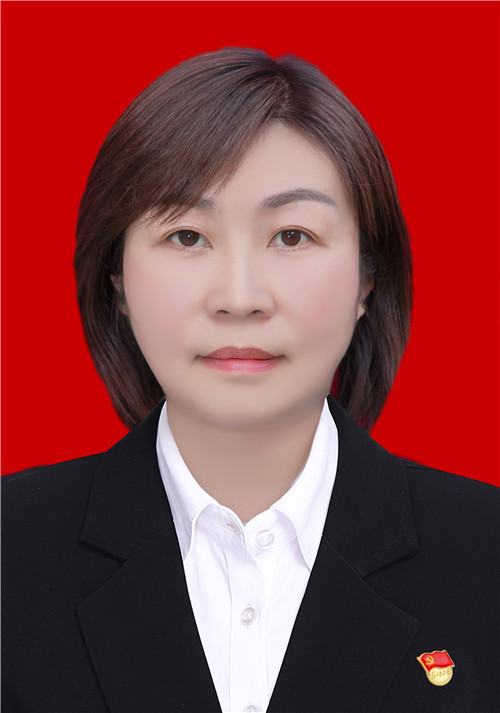党员 陈丽
