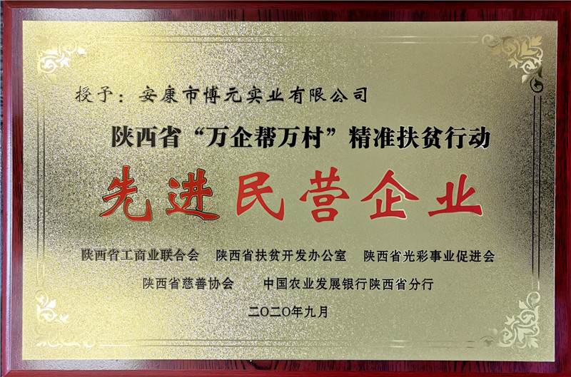陕西省万企帮万村精准扶贫行动先进民营企业