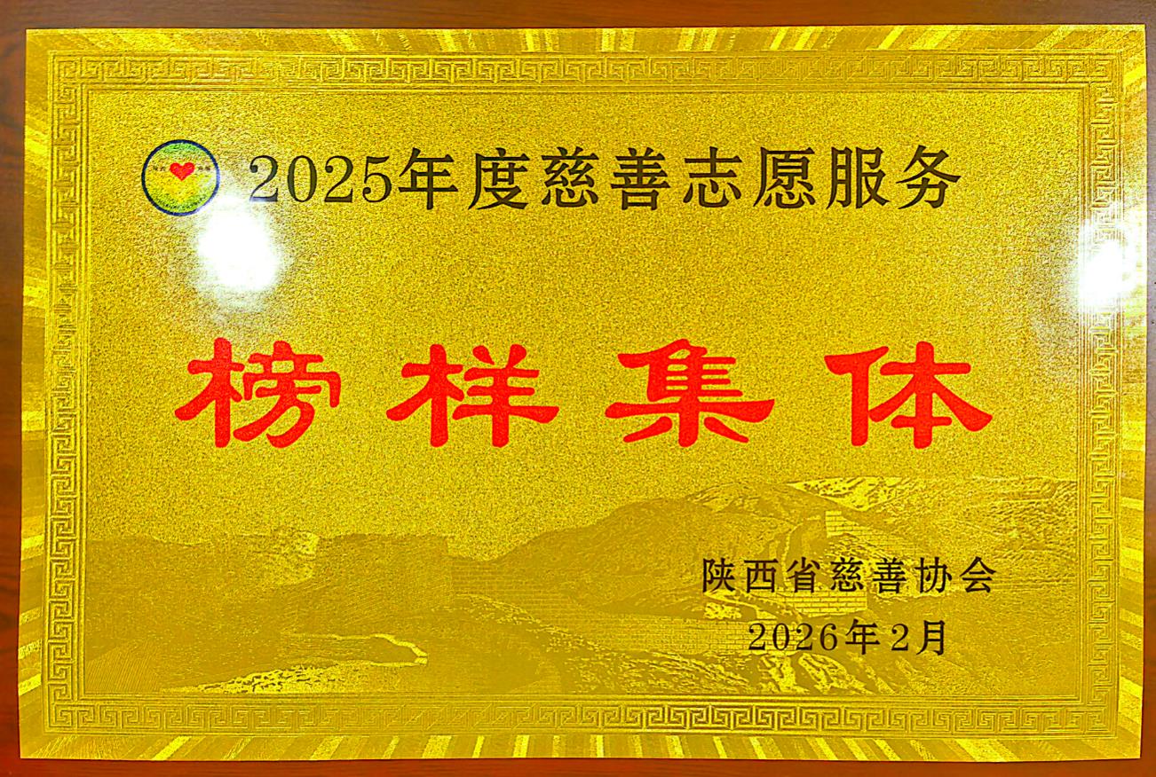 2025年度慈善志愿服务榜样集体